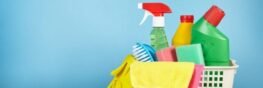 handyhousework.com
